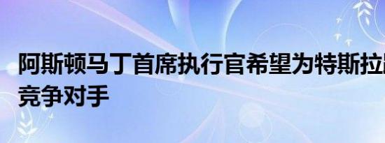 阿斯顿马丁首席执行官希望为特斯拉跑车开发竞争对手