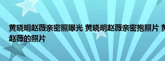 黄晓明赵薇亲密照曝光 黄晓明赵薇亲密抱照片 黄晓明迷上赵薇的照片