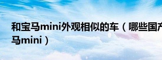 和宝马mini外观相似的车（哪些国产车像宝马mini）