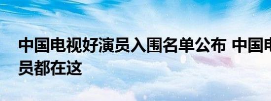 中国电视好演员入围名单公布 中国电视好演员都在这