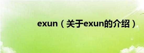 exun（关于exun的介绍）