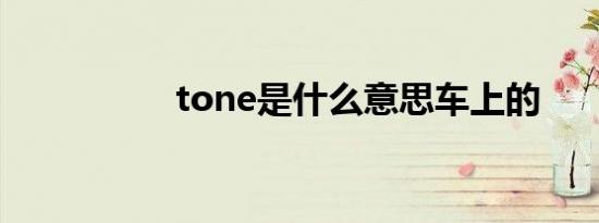 tone是什么意思车上的