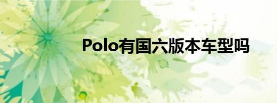 Polo有国六版本车型吗