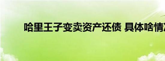 哈里王子变卖资产还债 具体啥情况