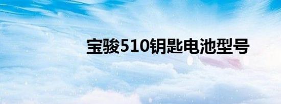 宝骏510钥匙电池型号