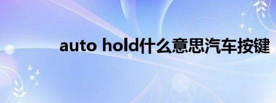 auto hold什么意思汽车按键