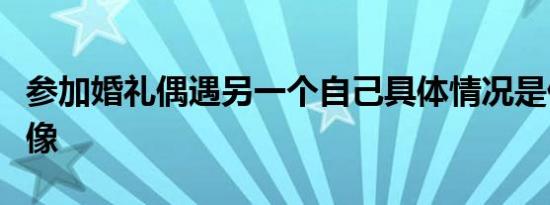 参加婚礼偶遇另一个自己具体情况是什么有多像