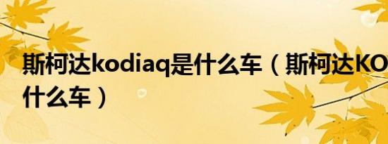 斯柯达kodiaq是什么车（斯柯达KODIAQ是什么车）