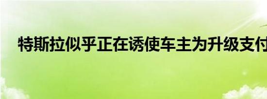 特斯拉似乎正在诱使车主为升级支付费用