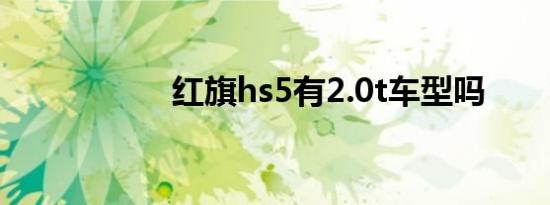 红旗hs5有2.0t车型吗