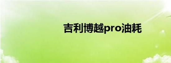 吉利博越pro油耗