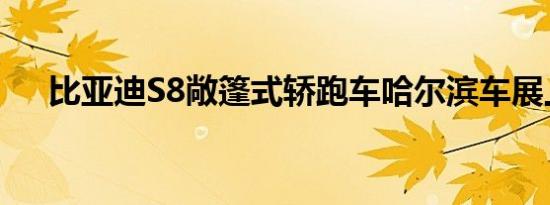 比亚迪S8敞篷式轿跑车哈尔滨车展上市