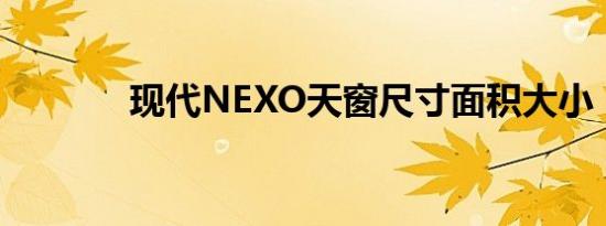 现代NEXO天窗尺寸面积大小