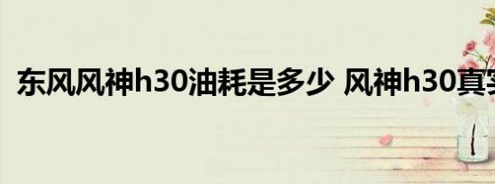 东风风神h30油耗是多少 风神h30真实油耗