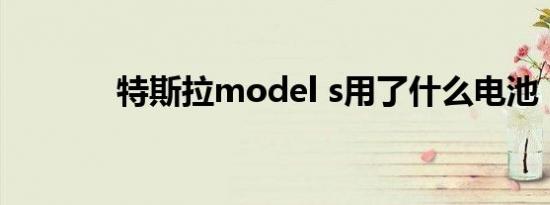 特斯拉model s用了什么电池