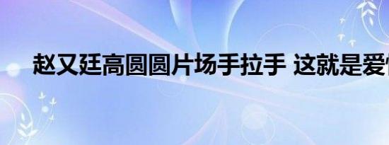 赵又廷高圆圆片场手拉手 这就是爱情啊