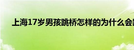 上海17岁男孩跳桥怎样的为什么会跳桥