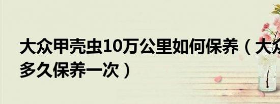 大众甲壳虫10万公里如何保养（大众甲壳虫多久保养一次）