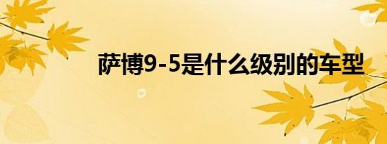 萨博9-5是什么级别的车型