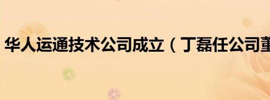 华人运通技术公司成立（丁磊任公司董事长）