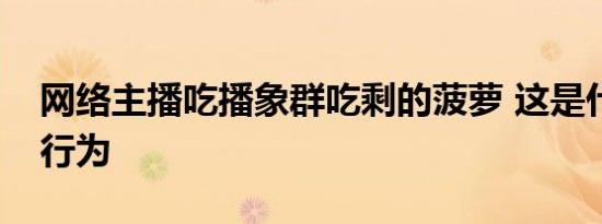 网络主播吃播象群吃剩的菠萝 这是什么奇葩行为