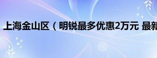 上海金山区（明锐最多优惠2万元 最新报价）