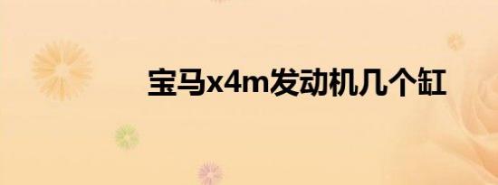 宝马x4m发动机几个缸