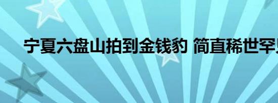 宁夏六盘山拍到金钱豹 简直稀世罕见啊