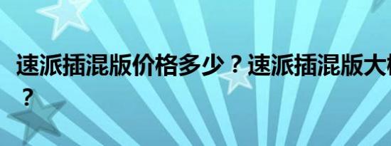 速派插混版价格多少？速派插混版大概多少钱？