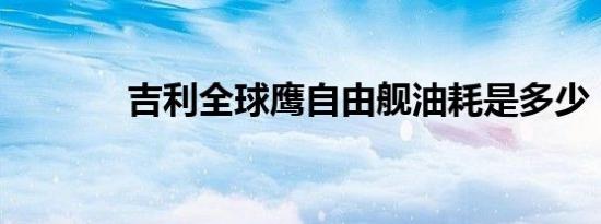 吉利全球鹰自由舰油耗是多少