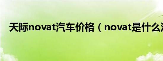 天际novat汽车价格（novat是什么汽车）