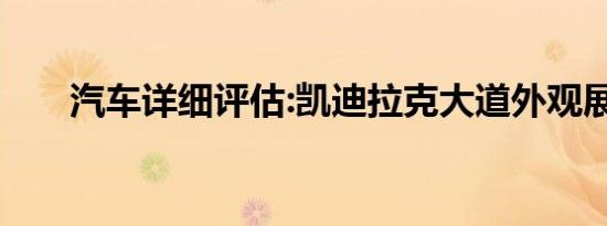 汽车详细评估:凯迪拉克大道外观展示