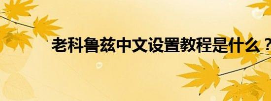 老科鲁兹中文设置教程是什么？