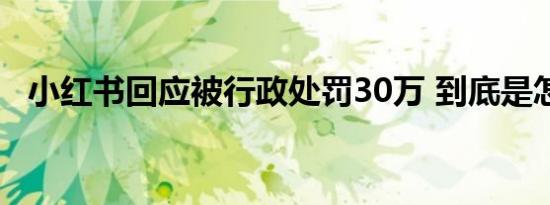 小红书回应被行政处罚30万 到底是怎样的