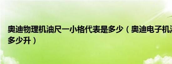 奥迪物理机油尺一小格代表是多少（奥迪电子机油尺一格是多少升）