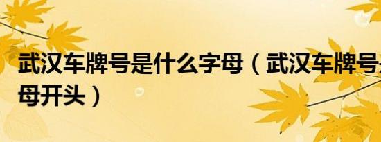 武汉车牌号是什么字母（武汉车牌号是什么字母开头）