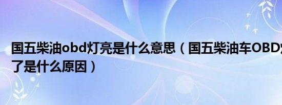 国五柴油obd灯亮是什么意思（国五柴油车OBD灯亮发动不了是什么原因）