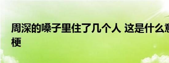 周深的嗓子里住了几个人 这是什么意思什么梗