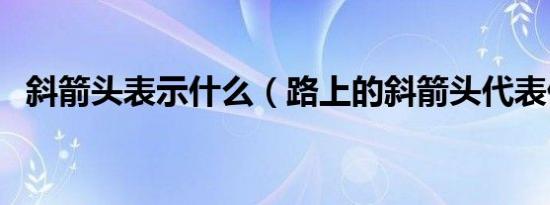 斜箭头表示什么（路上的斜箭头代表什么）