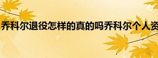 乔科尔退役怎样的真的吗乔科尔个人资料介绍