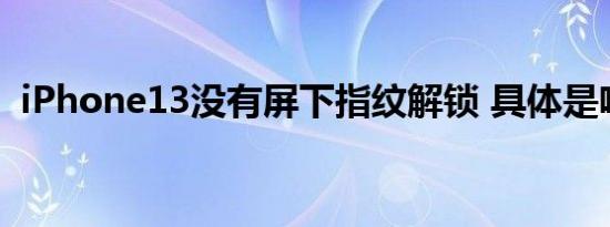 iPhone13没有屏下指纹解锁 具体是啥情况