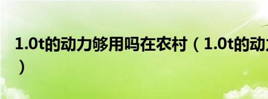 1.0t的动力够用吗在农村（1.0t的动力够用吗）