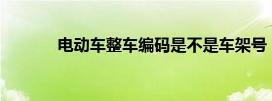 电动车整车编码是不是车架号