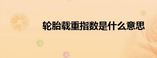 轮胎载重指数是什么意思