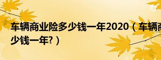 车辆商业险多少钱一年2020（车辆商业险多少钱一年?）