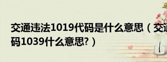 交通违法1019代码是什么意思（交通违法代码1039什么意思?）