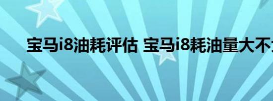 宝马i8油耗评估 宝马i8耗油量大不大？