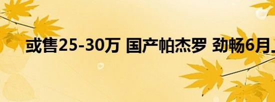 或售25-30万 国产帕杰罗 劲畅6月上市