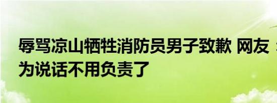 辱骂凉山牺牲消防员男子致歉 网友：还真以为说话不用负责了