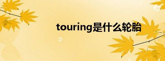 touring是什么轮胎